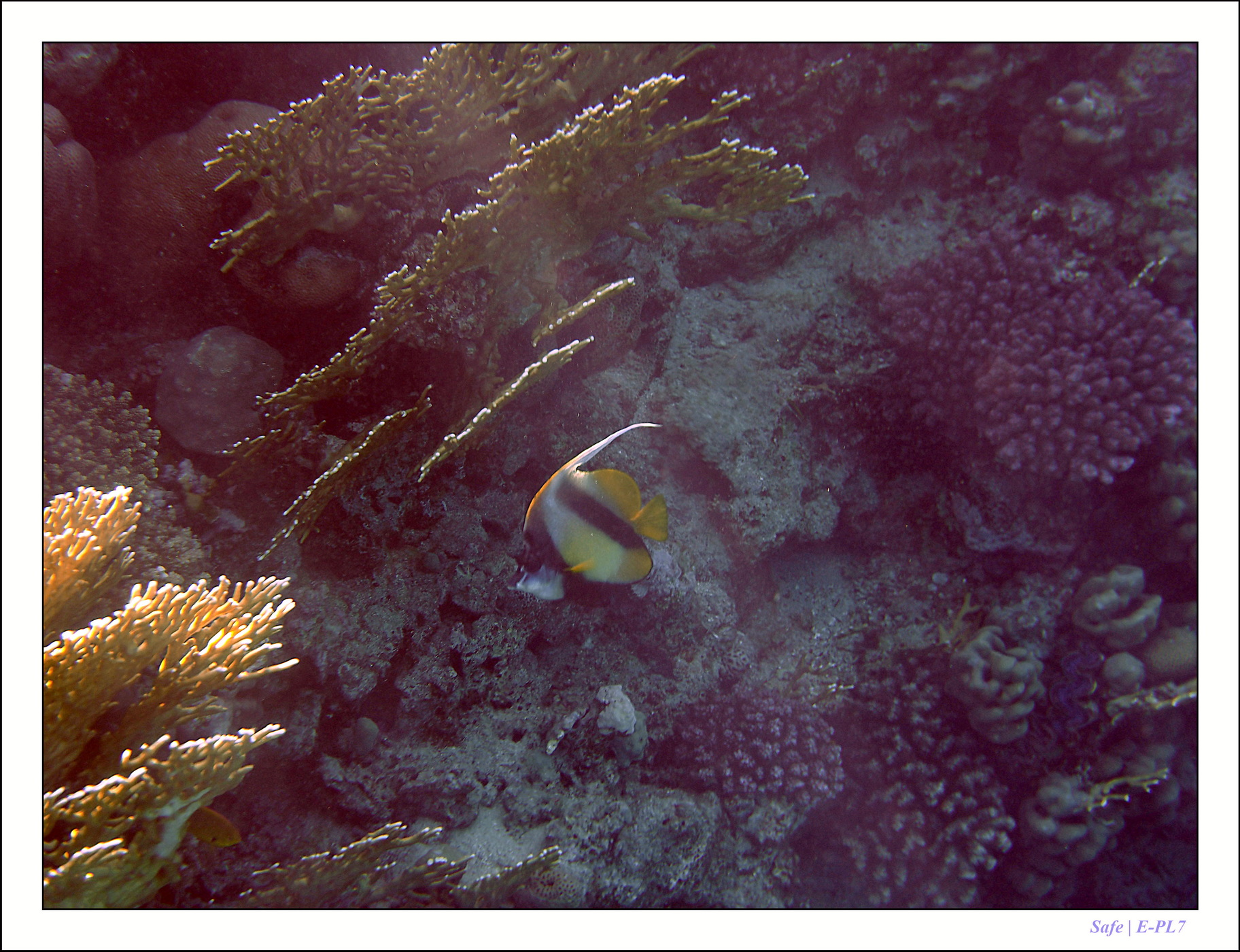 2023 - 03 - Charm El Sheikh - 43